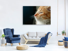 canvas-print-kitten-nose