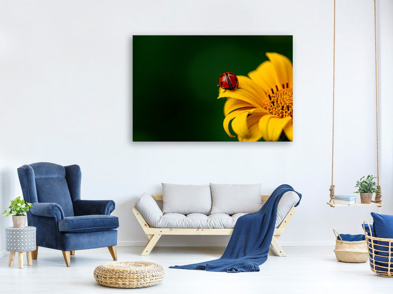 canvas-print-ladybug-on-the-sunflower