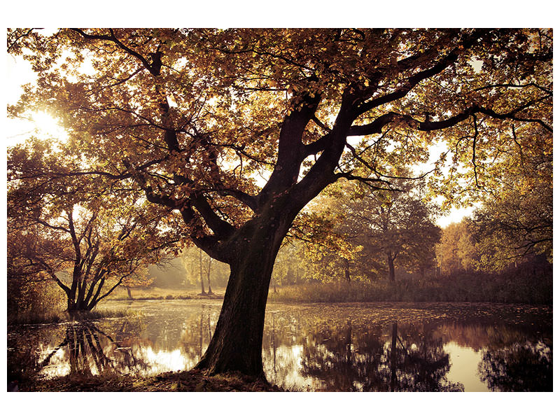 canvas-print-landscape-park