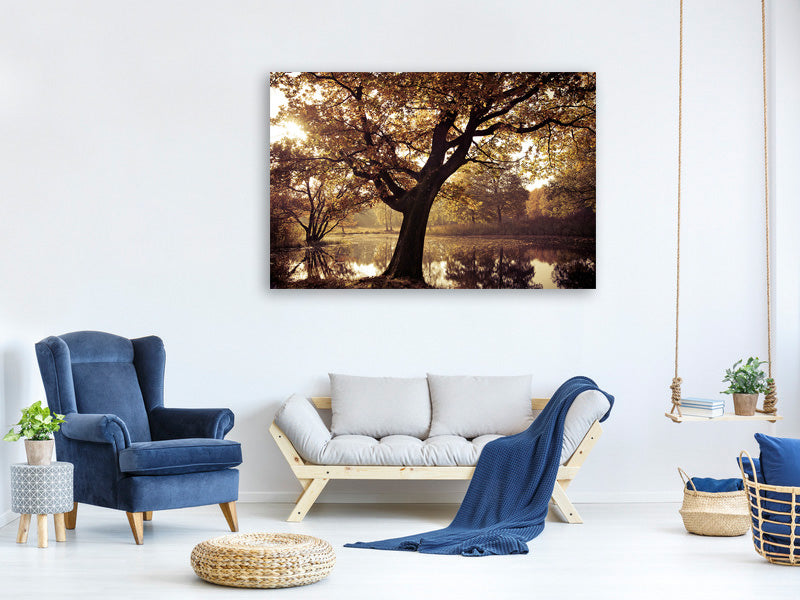 canvas-print-landscape-park