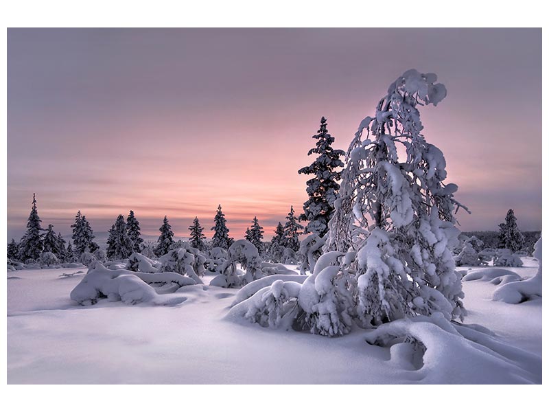 canvas-print-lappland-winterwonderland-x