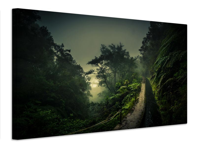 canvas-print-levada-walk-x