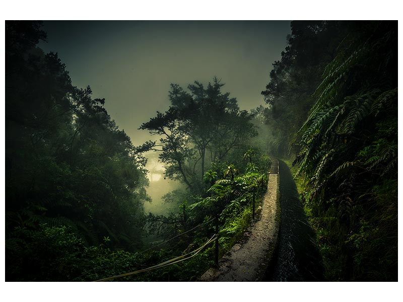 canvas-print-levada-walk-x