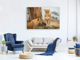 canvas-print-lions-in-africa