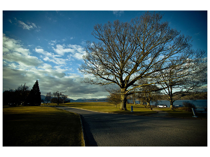 canvas-print-loch-lomond