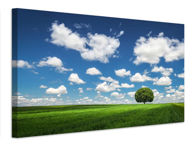 canvas-print-lonely-tree-x