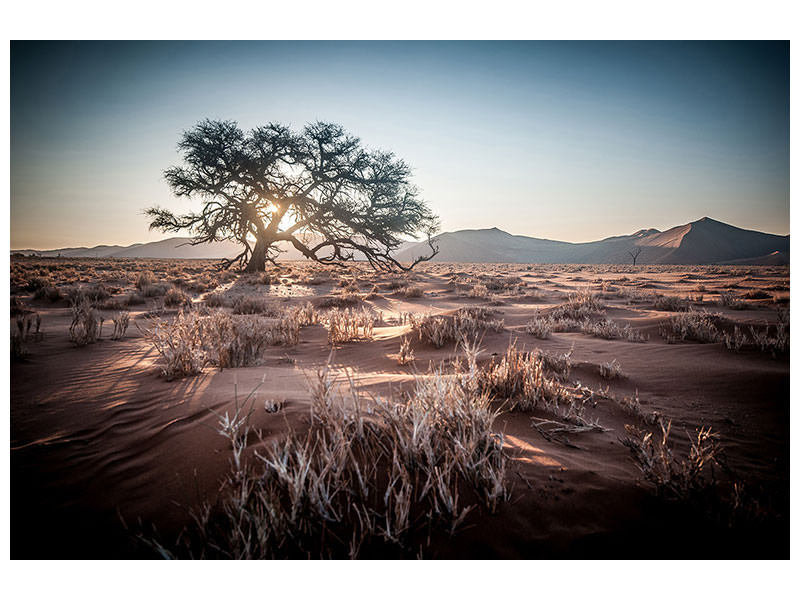 canvas-print-longing-africa