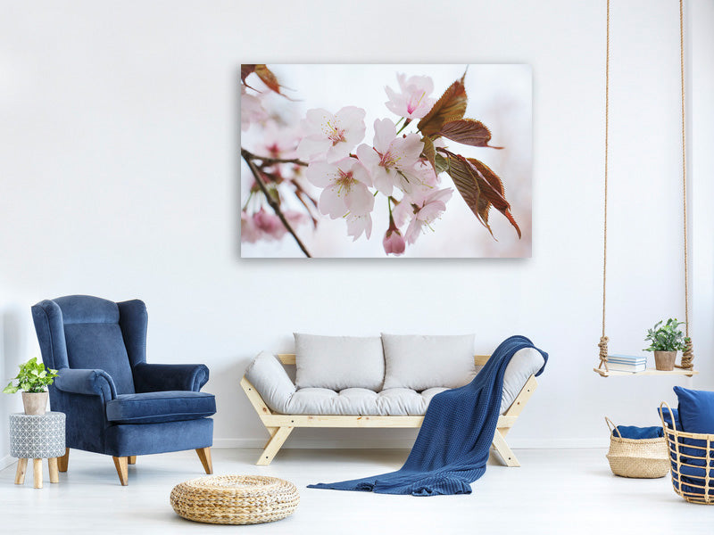 canvas-print-lovely-japanese-cherry