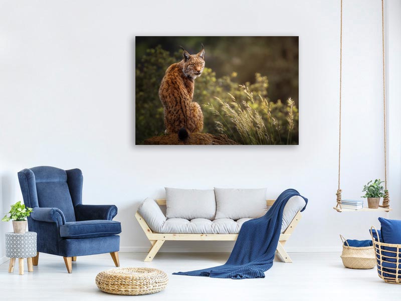 canvas-print-lynx-fine-art-x