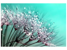 canvas-print-macro-dandelion-p