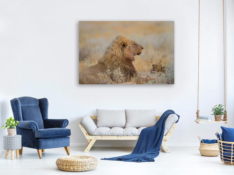 canvas-print-male-lion-with-cub-x