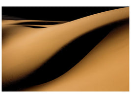 canvas-print-maranjab-desert-x