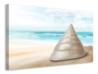 canvas-print-marine-snail-xxl