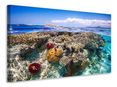 canvas-print-mayotte-the-reef