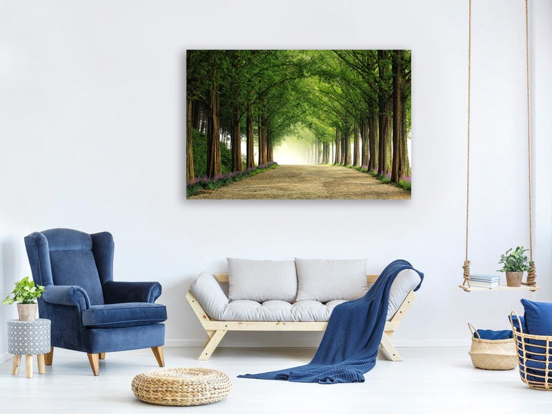 canvas-print-metasequoia-road-x