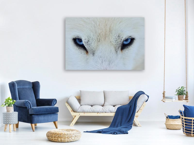 canvas-print-mirada-azul-x