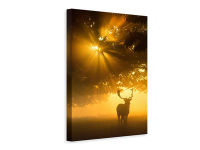 canvas-print-mist-on-tree-cant-stop-sunshine-x