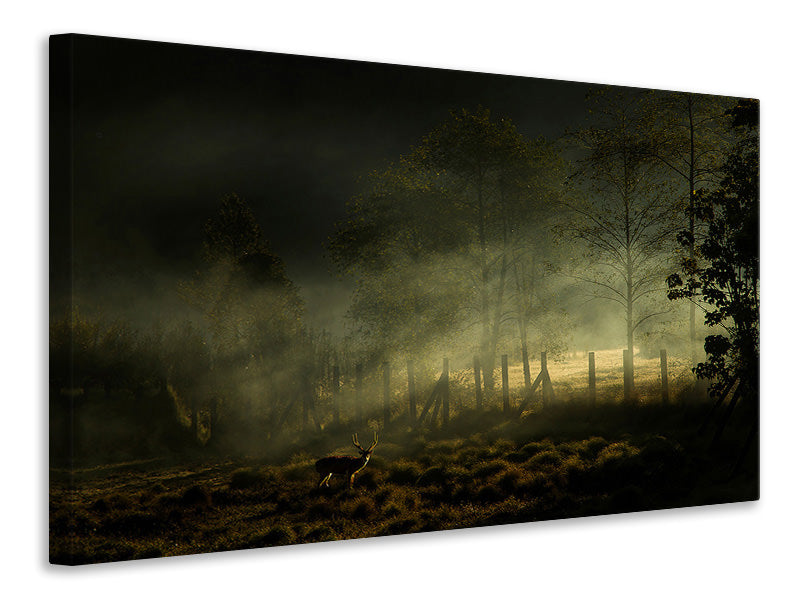 canvas-print-misty-morning-ii