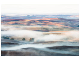 canvas-print-misty-morning-x