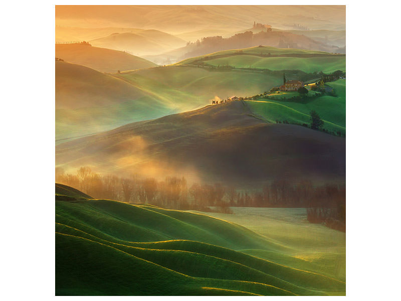 canvas-print-morning-dreams