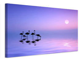 canvas-print-morning-flamingo-x