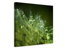 canvas-print-morning-perls-x