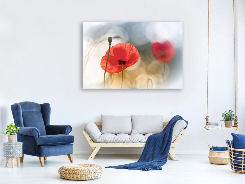 canvas-print-morning-poppies-x