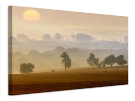 canvas-print-morning-view-x