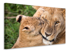 canvas-print-mother-love