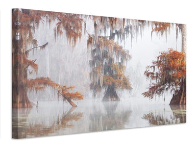 canvas-print-mysty-bayou-x