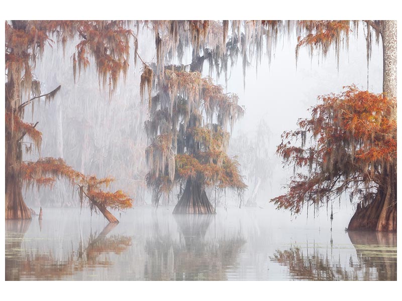 canvas-print-mysty-bayou-x