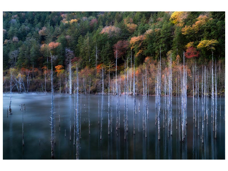 canvas-print-natural-lake-autumn-x