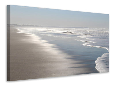 canvas-print-nature-experience-beach