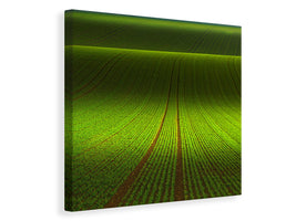 canvas-print-november-green