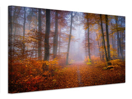 canvas-print-october-trail-x