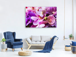 canvas-print-orchid-paradise