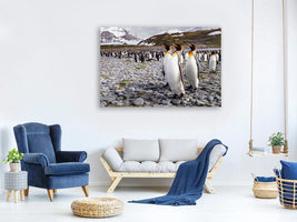 canvas-print-penguins-of-salisbury-plain-x