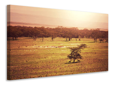 canvas-print-picturesque-africa