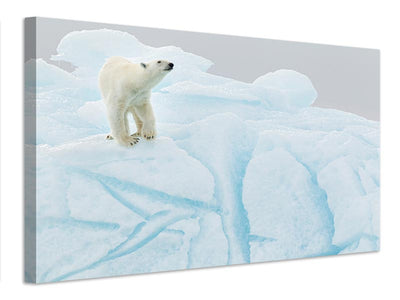 canvas-print-polar-bear-on-iceberg-x