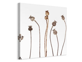 canvas-print-poppies-xhe