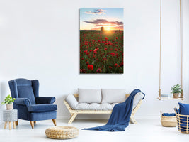 canvas-print-poppy-fields-of-sweden