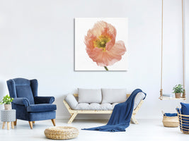 canvas-print-poppy