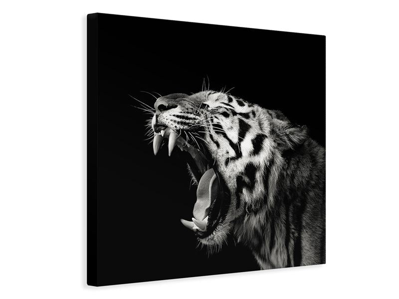 canvas-print-primal-yawn-4-x