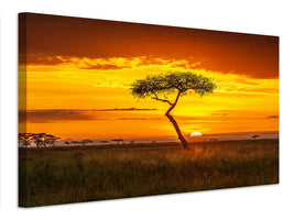 canvas-print-primordial-africa-x