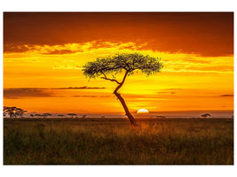 canvas-print-primordial-africa-x