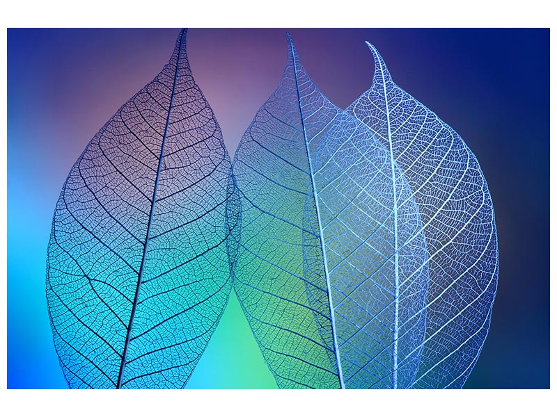 canvas-print-prismatic-leafs-x