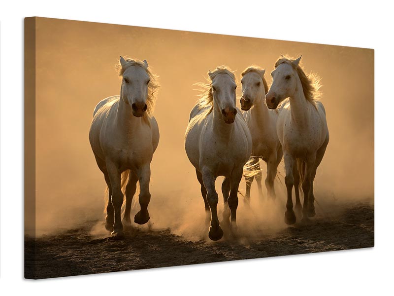 canvas-print-quartet-x