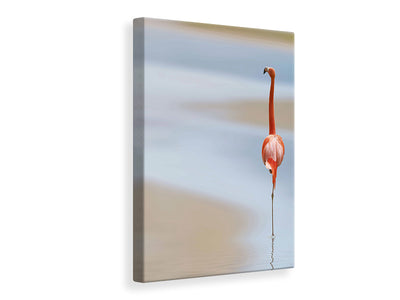 canvas-print-red-flamingo