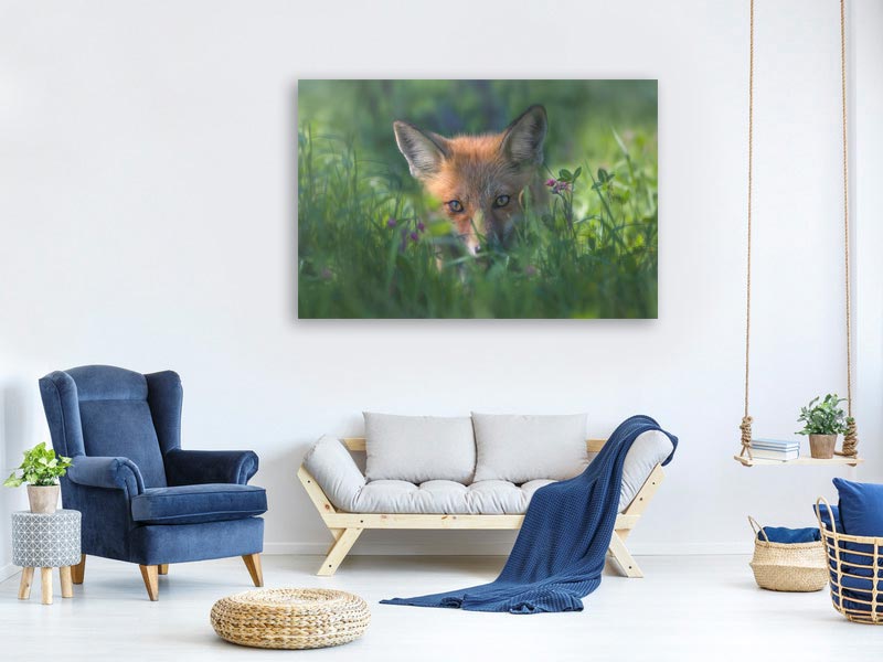 canvas-print-red-fox-xuf