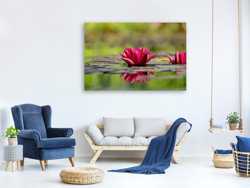 canvas-print-red-water-lily-duo